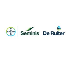 BAYER Seminis De Ruiter logo